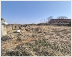  2025Ÿ��32226 ���� ���� ȭ�嵿 428       ����(����)���