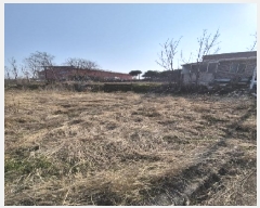  2025Ÿ��32226 ���� ���� ȭ�嵿 428       ����(����)���