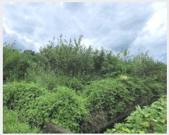  2025Ÿ32244  ȭ ָ  1152-7      ()