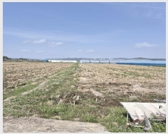  2025Ÿ32244  ȭ ָ  1152-7      ()