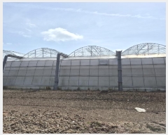  2025Ÿ32244  ȭ ָ  1152-7      ()