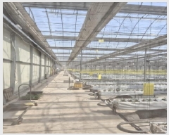  2025Ÿ32244  ȭ ָ  1152-7      ()