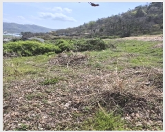  2025Ÿ32244  ȭ ָ  1152-7      ()