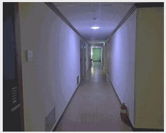  2025Ÿ��32264  ���ǽ��ڰ��