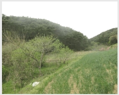  2025Ÿ32457  强 Ȳ ȣ 200-1      ()