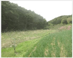  2025Ÿ32457  强 Ȳ ȣ 200-1      ()