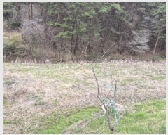  2025Ÿ32457  强 Ȳ ȣ 200-1      ()