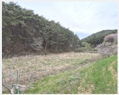  2025Ÿ32457  强 Ȳ ȣ 200-1      ()