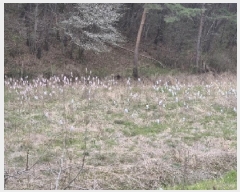  2025Ÿ32457  强 Ȳ ȣ 200-1      ()