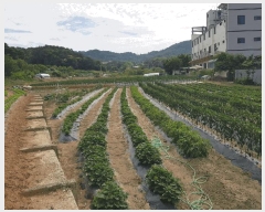  2025Ÿ��32918 ���� �ϱ� �ﰢ�� 410       ����(��)���