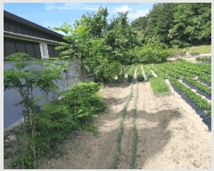  2025Ÿ��32918 ���� �ϱ� �ﰢ�� 410       ����(��)���