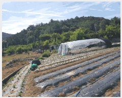  2025Ÿ��32918 ���� �ϱ� �ﰢ�� 410       ����(��)���