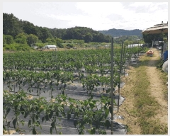  2025Ÿ��32918 ���� �ϱ� �ﰢ�� 410       ����(��)���