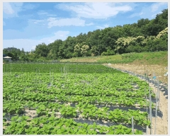  2025Ÿ��32918 ���� �ϱ� �ﰢ�� 410       ����(��)���