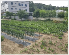  2025Ÿ��32918 ���� �ϱ� �ﰢ�� 410       ����(��)���