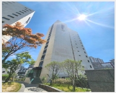  2025Ÿ33013    881 ѱƵ57ƮϿ콺 101 111101ȣ    ǽڰ