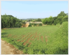  2025Ÿ��33068 ���� �强�� �Ｍ�� ���� 209      ����(��1)���