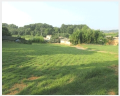  2025Ÿ��33068 ���� �强�� �Ｍ�� ���� 209      ����(��1)���