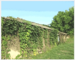  2025Ÿ��33068 ���� �强�� �Ｍ�� ���� 209      ����(��1)���