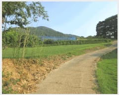  2025Ÿ��33068 ���� �强�� �Ｍ�� ���� 209      ����(��1)���