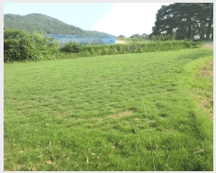  2025Ÿ��33068 ���� �强�� �Ｍ�� ���� 209      ����(��1)���