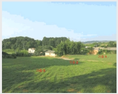  2025Ÿ��33068 ���� �强�� �Ｍ�� ���� 209      ����(��1)���