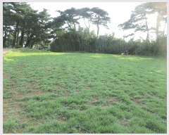  2025Ÿ��33068 ���� �强�� �Ｍ�� ���� 209      ����(��1)���