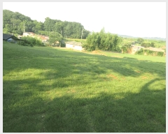  2025Ÿ��33068 ���� �强�� �Ｍ�� ���� 209      ����(��1)���