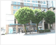  2025Ÿ��33069 ���� ���� ������ 245-16 ��������Ʈ����ũ 14��1414ȣ     ���ǽ��ڰ��