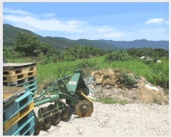  2025Ÿ��33220 ���� �强�� ���̸� ��ϸ� 922-5      ����(��)���