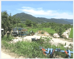  2025Ÿ��33220 ���� �强�� ���̸� ��ϸ� 922-5      ����(��)���