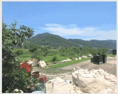  2025Ÿ��33220 ���� �强�� ���̸� ��ϸ� 922-5      ����(��)���