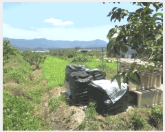  2025Ÿ��33220 ���� �强�� ���̸� ��ϸ� 922-5      ����(��)���