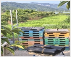  2025Ÿ��33220 ���� �强�� ���̸� ��ϸ� 922-5      ����(��)���