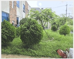  2025Ÿ��33236 ���� ���ֽ� ��õ�� ������ 250-7      �ܵ�����,�����ð��