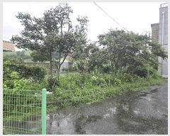  2025Ÿ��33236 ���� ���ֽ� ��õ�� ������ 250-7      �ܵ�����,�����ð��