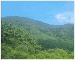  2025Ÿ��33539 ���� ��籺 ����� �Լ��� ��10      ����(�Ӿ�)���