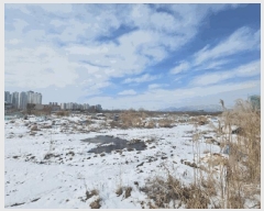  2025Ÿ��448 ���� �ϱ� �ſ뵿 477-9       ����(��)���