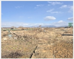  2025Ÿ��448 ���� �ϱ� �ſ뵿 477-9       ����(��)���