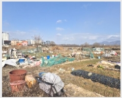  2025Ÿ��448 ���� �ϱ� �ſ뵿 477-9       ����(��)���