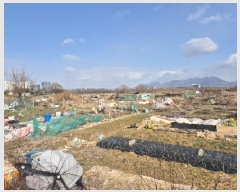  2025Ÿ��448 ���� �ϱ� �ſ뵿 477-9       ����(��)���