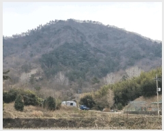  2025Ÿ��721 ���� ���ֽ� ��Ȳ�� �� 202      ����,â�����