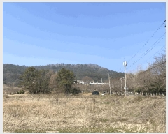  2025Ÿ1076  ֽ ￵ 42       (Ӿ)