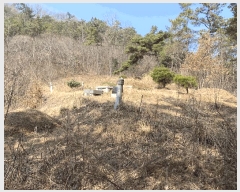  2025Ÿ1076  ֽ ￵ 42       (Ӿ)