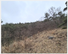  2025Ÿ1076  ֽ ￵ 42       (Ӿ)