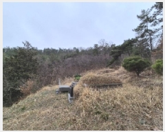  2025Ÿ1076  ֽ ￵ 42       (Ӿ)