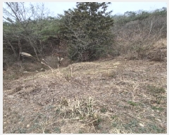  2025Ÿ1076  ֽ ￵ 42       (Ӿ)