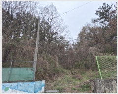  2025Ÿ1076  ֽ ￵ 42       (Ӿ)