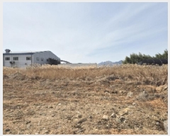  2025Ÿ��1205 ���� ��籺 ������ ���渮 725-1      ����(��1)���