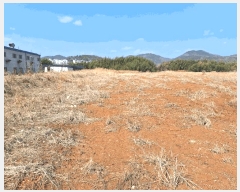  2025Ÿ��1205 ���� ��籺 ������ ������ 443      ����(��1)���